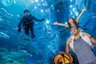 Entry to Dubai Aquarium, Underwater Zoo and Penguin Cove Zoo for One, Two or Four at RS Tourism (Up to 13% Off) - Image 4