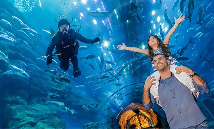 Image 3: Explore Dubai Aquarium, Underwater Zoo and Penguin Cove