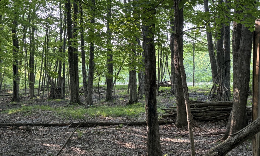 Image 2: Paintball Adventure at Pinnacle Adventure Park