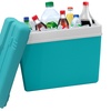 Image 19: Insulated Cooler Ice Box and Optional Ice Blocks 15L, 24L, 35L
