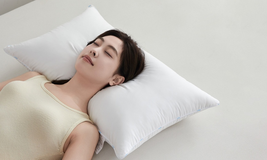 Image 17: Pure Cotton Luxury Hotel Pillow Duo
