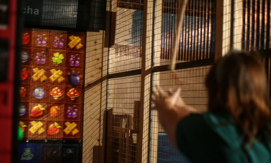 Image 2: Enjoy & Explore One-Hour Axe Throwing Experience for Up to Six People
