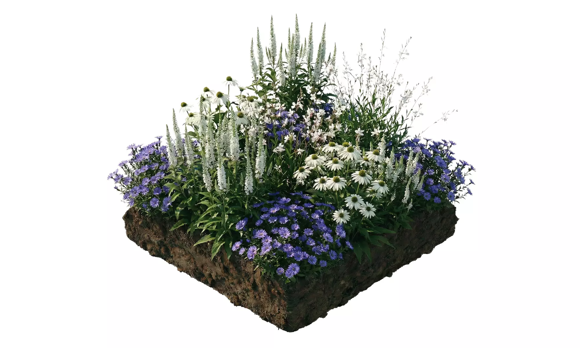 NatureNest 'Yara'-borderpakket