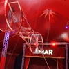 Image 5: Cirque Amar®, 100 ans d'émotions : le centenaire, de déc. à fev.