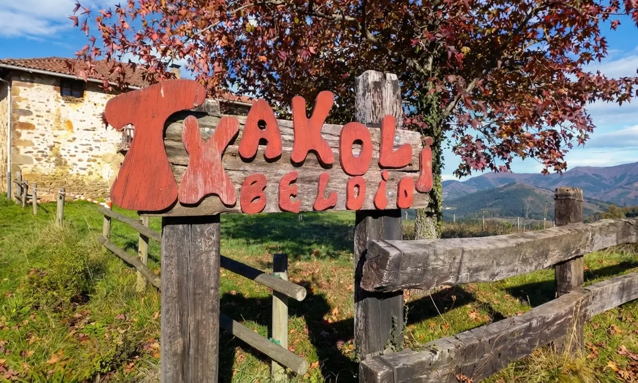 Cata de vino y aperitivo con visita a bodega para 2 o 4 en Llodio