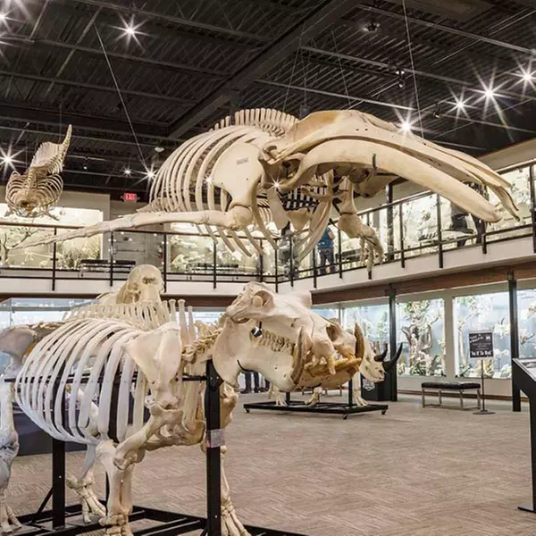 GetOut Oklahoma with Admission to 36+ Iconic Attractions