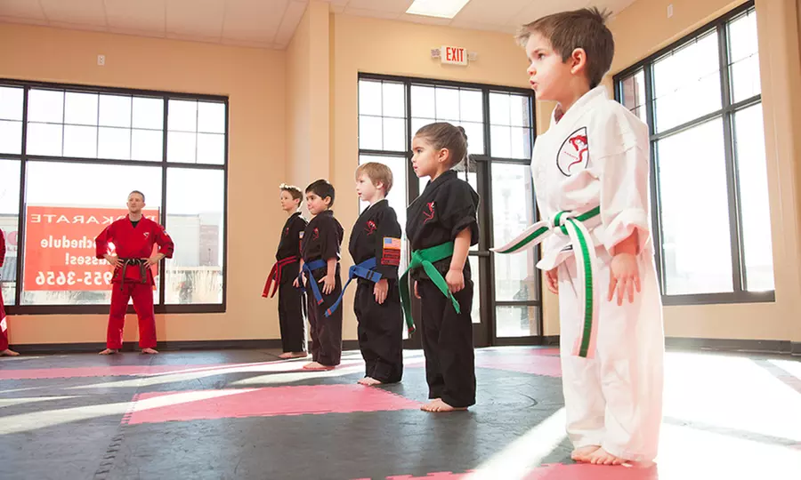 Four Karate Classes with One Uniform or Family with Up to Three Uniforms at Dojo Karate (Up to 86% Off) - Primary Image