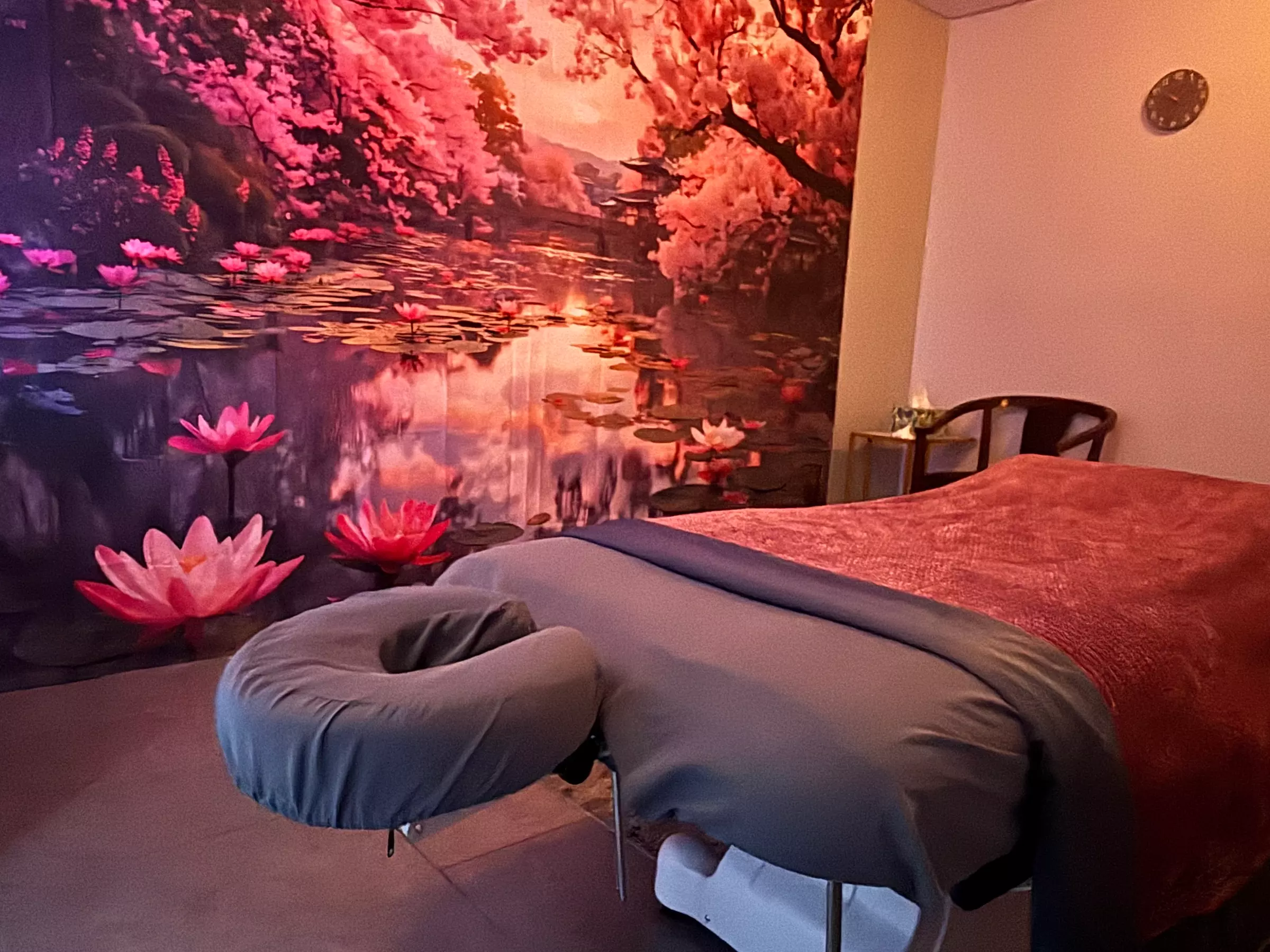 Detox & Glow with Lymphatic Massage and Red Light Therapy