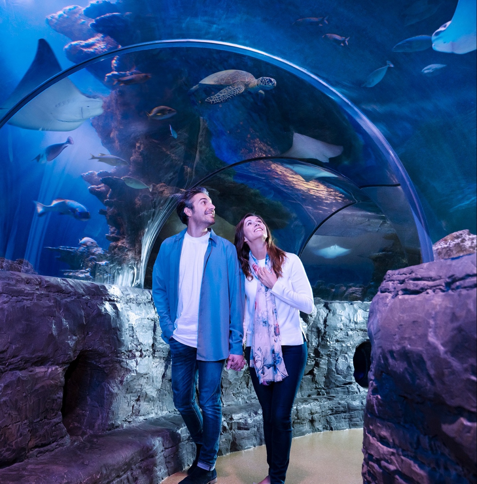 SEA LIFE & Optional Combo (Up to 41% Off)