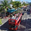 Image 1: Explore Miami's Historic Sights and Everglades' Beauty on Tours