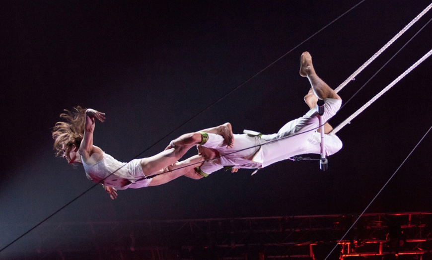 Image 7: 2 oder 3 Tickets für Feuerwerk der Turnkunst "Viva" im Januar 2026