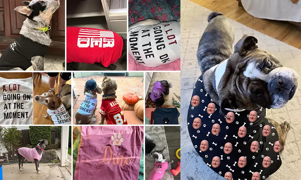 Custom Pet Fashion – Pawsome Style & Comfort Tailored Just for Them