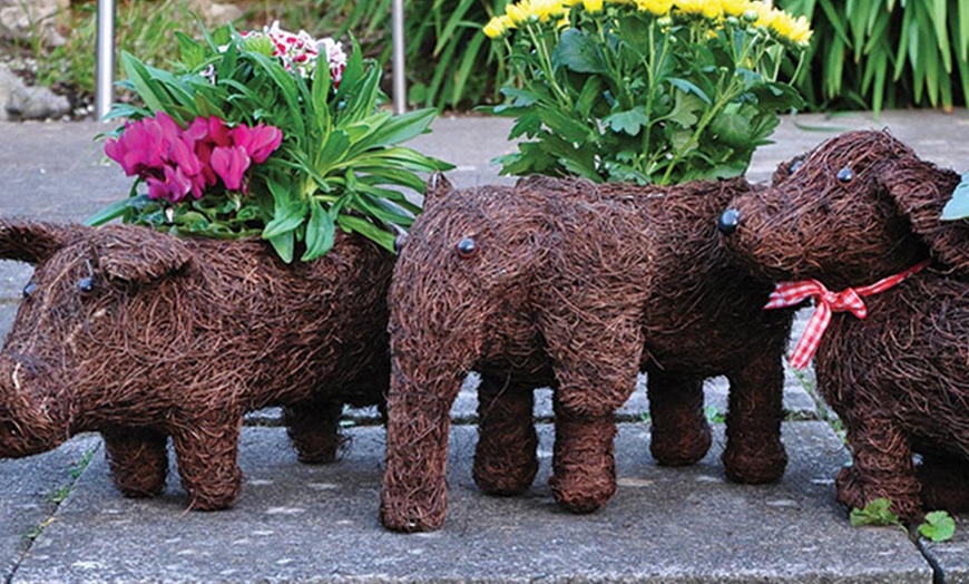 Image 1: Animal Planter Sets 