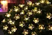 50 LED Multi-Coloured Solar Cherry Blossom Lights-Multi-color/Warm/White x1 or x2 (Up to 62% Off); Free Shipping - Second Medium