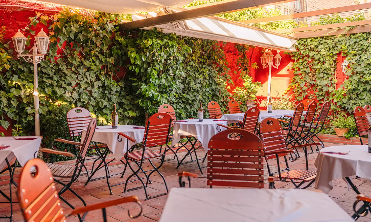 Espectáculo de flamenco con opción a picoteo y bebida para 2 o 4