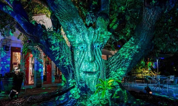 What to expect media