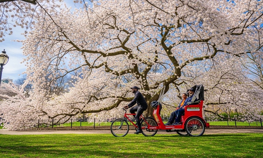 Image 2: Classic or Deluxe PediCab Tours in New York