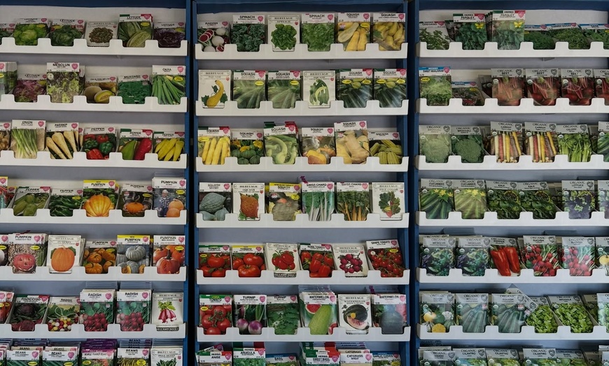 Image 6: 31% Off Plants and Gardening Supplies at Garden World
