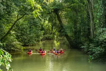3- and 4-Star Mystery Costa Rica Hotel Stay with Tours
