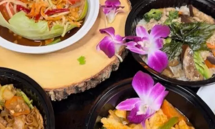 Starters or Appetizers, Ramen, Rice Bowls, Mochi Donuts & More
