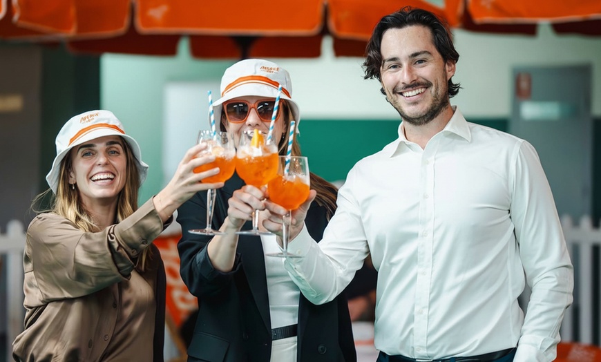 Image 4: 1.5HR Intro to Pickleball for 1-8 people + Paddle and Ball Hire