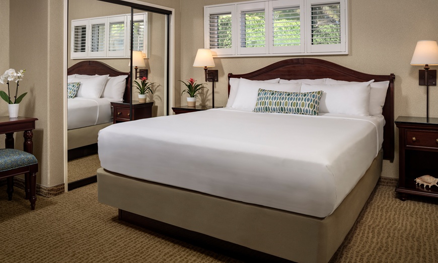 Image 3: Member-Only Deal: Bahia Resort Hotel