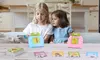  iMounTEK Interactive Talking Educational Flash Cards 