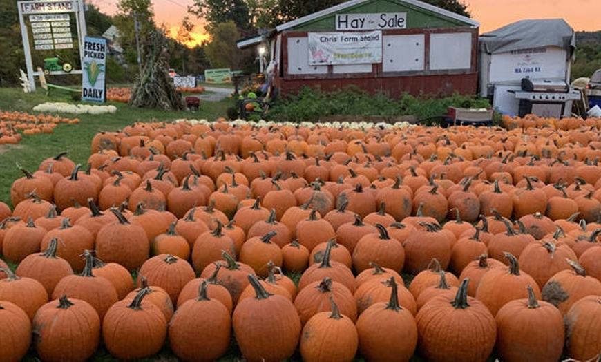 Image 1:  Enjoy $15 or $20 Voucher Towards Pumpkin Purchase or One Hayride 