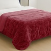Image 29: Premium Winter Quilt: Soft, Hypoallergenic and Luxurious Comfort