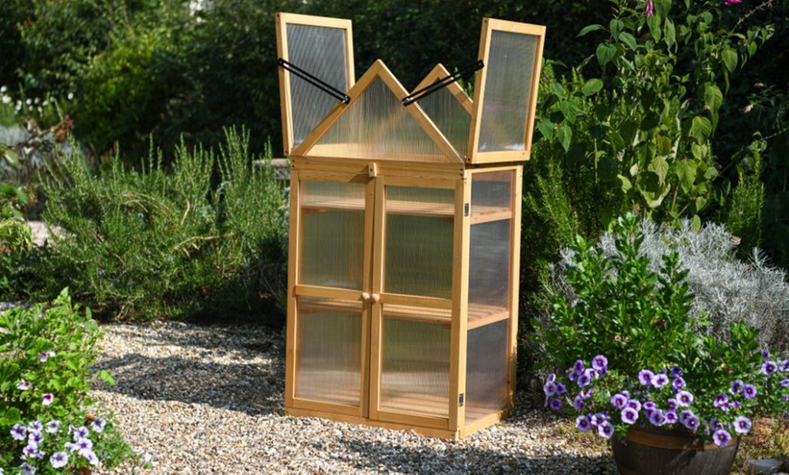 Image 8: Garden Gear Wooden 3-Tier Greenhouse or XL Cold Frame