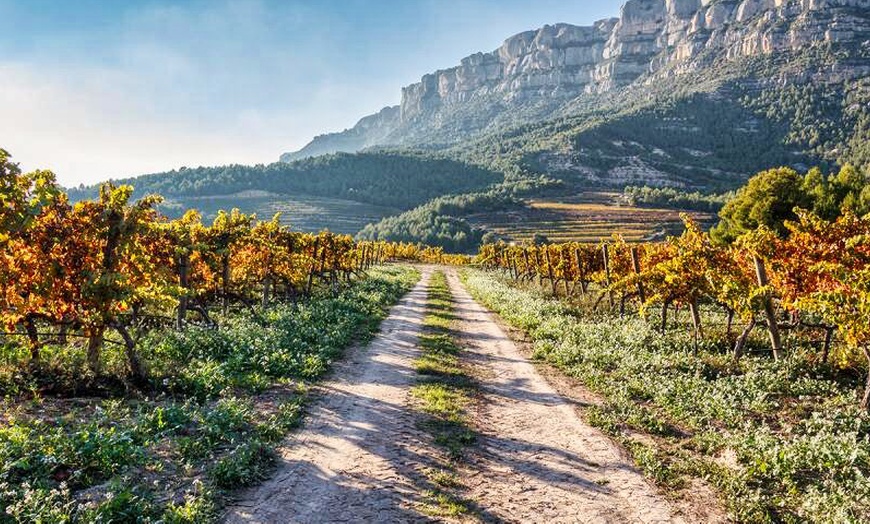 Image 12: ESPAGNE | Salou (Costa Brava) : hôtel Alannia Salou 3*