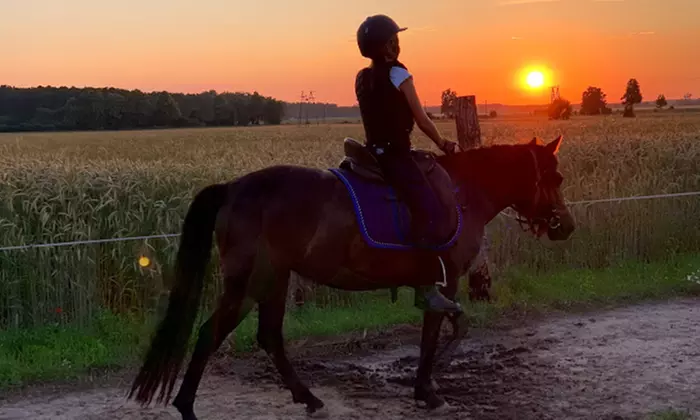 Odkryj urok jazdy konnej: indywidualne sesje lub trening na lonży w KajaKing (do -31%)