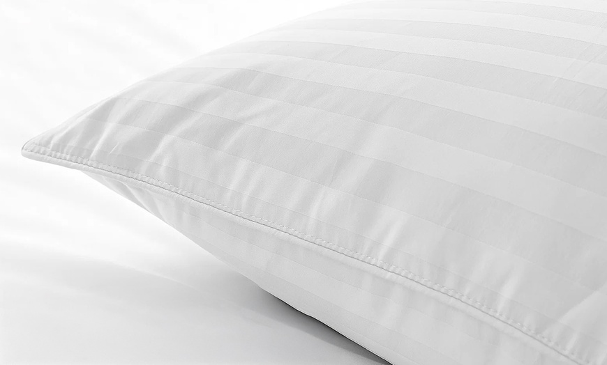 Image 5: Palace Feather kussen, dons en veren, Sampur
