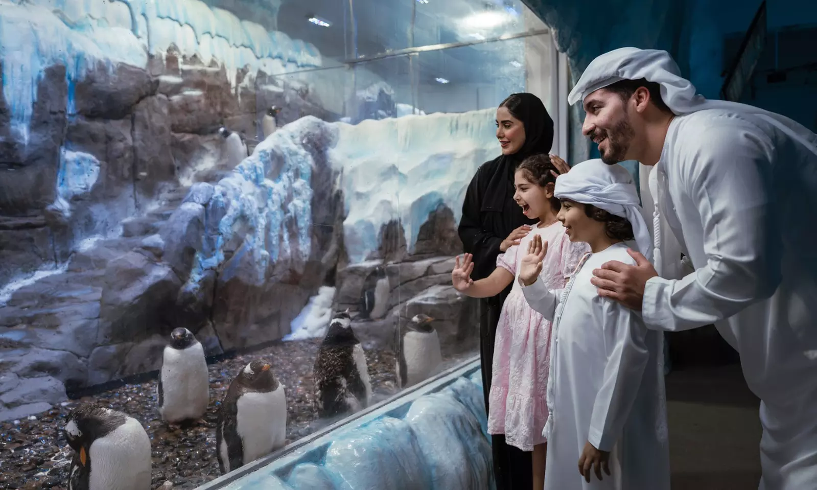 Entry for 1, 2 or 4 Adults to World’s Largest Suspended Aquarium