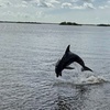 Image 8: 2 Hour Private Boat Charter for Up to 6 Guests 
