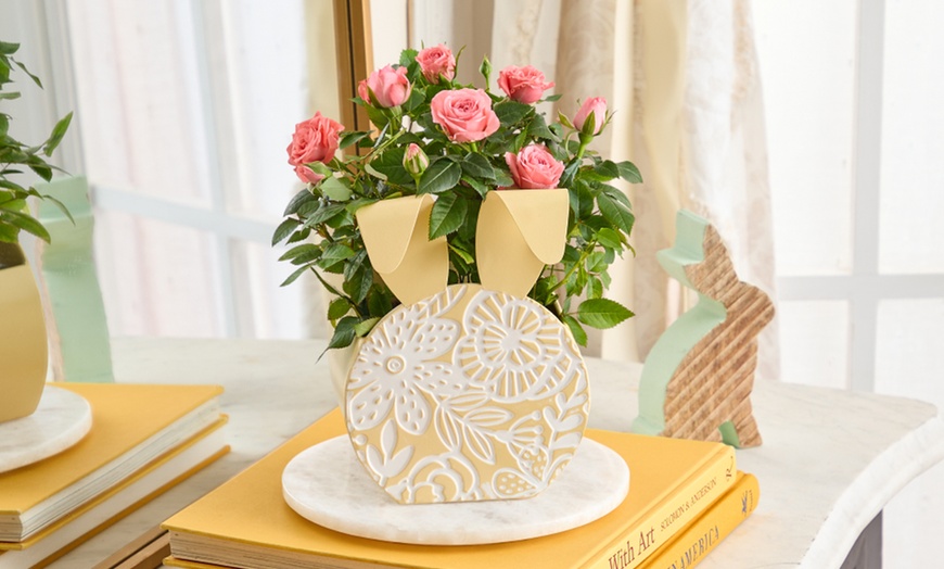 Image 19: Next Day Delivery Lush Plants from 1-800-Flowers (up to 55% off)