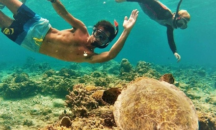 Northshore Circle Island Adventure for ONE Child- Snorkel with Turtles! Guides, Lifeguard, Driver around 16 Locations - North Shore Adventure