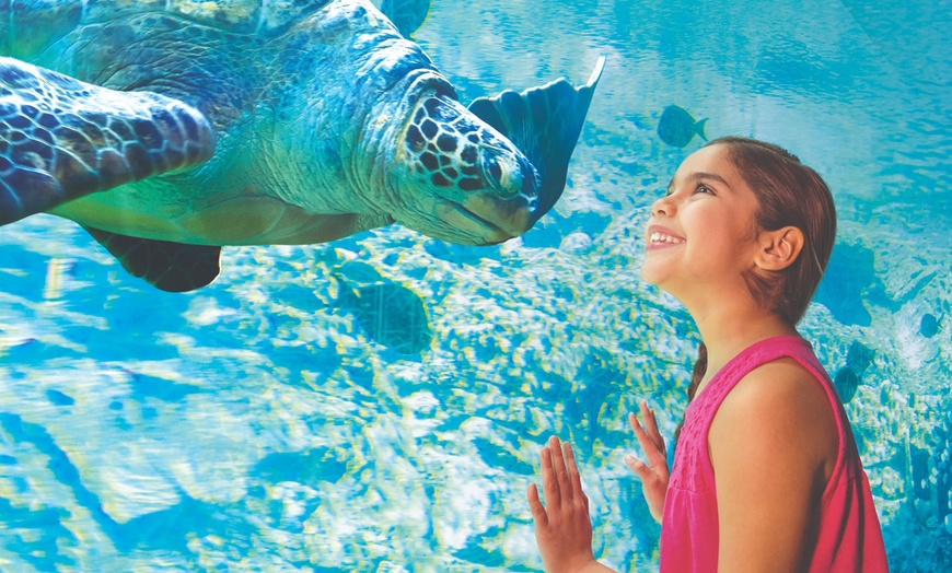 Image 10: LABOR DAY SALE! SeaWorld San Antonio & Aquatica- Up to 53% Off