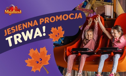 Majaland Warszawa: całodzienny bilet do parku rozrywki dla 1 osoby + donut za 1 zł - Majaland