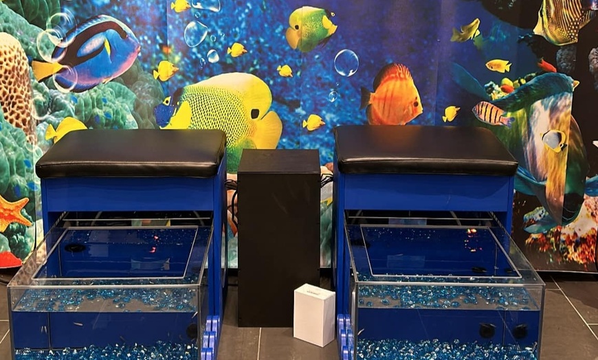 Image 3: Individual or Couple's Fish Spa Experience at Garra Fish Spa