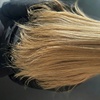 Image 2: Haircut, Shampoo & Styling with 1 or 2 Treatments


