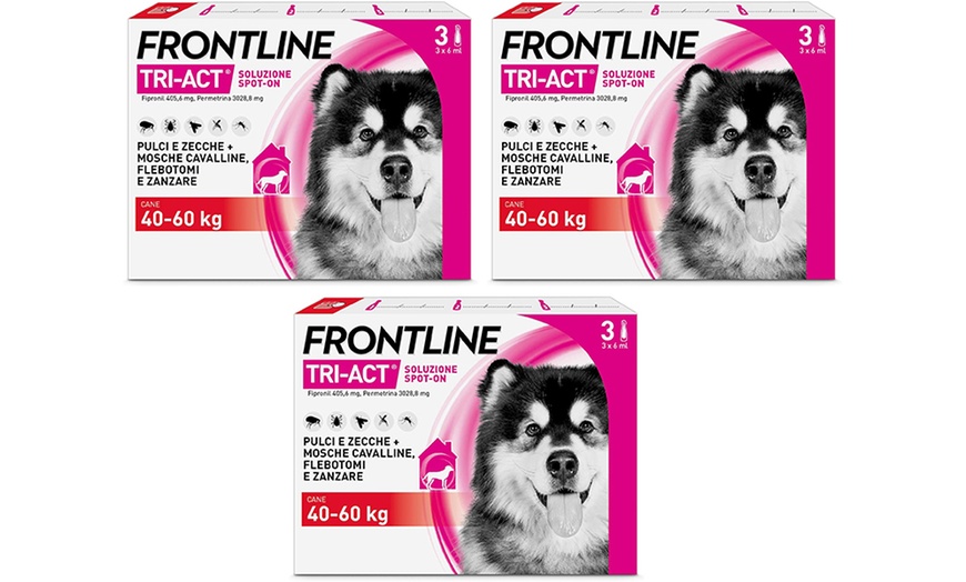 Image 10: Fino a 12 pipette Frontline Tri-Act® Spot-on per cani