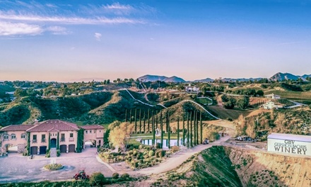 Weekday Wine Tasting for One - Gershon Bachus Vintners