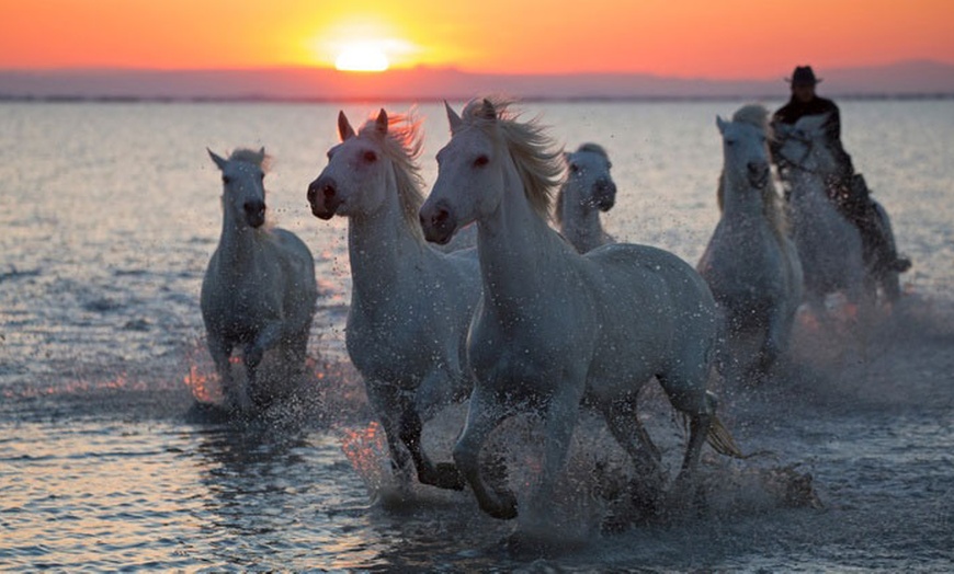 Image 8: CAMARGUE | Saintes-Maries-de-la-Mer - Thalacap Camargue 3*