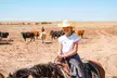 Morning or Dinner Tour Package with Lunch for a Child or One or Two Adults (Up to 35% Off) - Second Medium