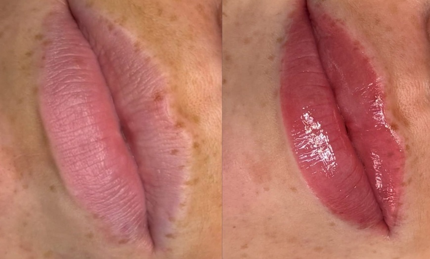 Image 4: Perfect Lips: Semi-Permanent Blush, Lip Liner & Dark Lip Correction