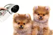 Pet Hair Vacuum Remover x1, or x2 Options from Ever Mercantile (Up to 76% Off); Free Shipping - Image 2