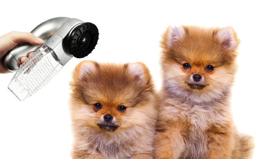 Image 2: Pet Hair Vacuum Remover x1, or x2 Options