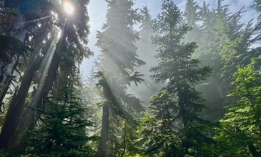 Image 17: ✈ Colorado Springs Road Trip: 5 Days with Air, Car & Stay from Worldee