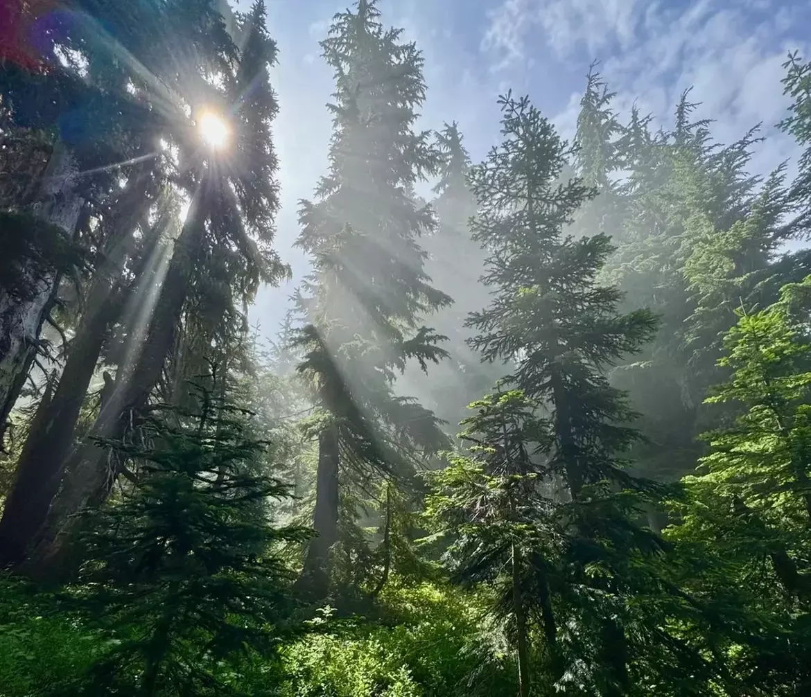 ✈ Colorado Springs Road Trip: 5 Days with Air, Car & Stay from Worldee